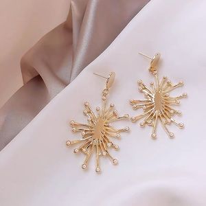 irregular geometric earrings